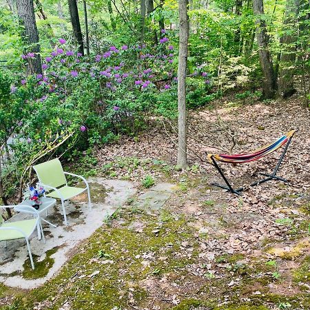 Modern Cabin With Hot Tub Grill Lake Beach Wineries Hiking Fishing And Hershey Park Family And Pet Friendly Superhosts On Ab&B Mount Gretna Экстерьер фото